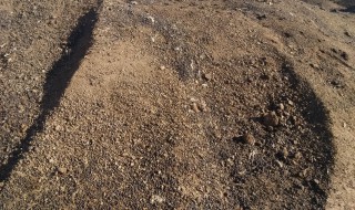 羊粪属于什么肥料 羊粪是属于什么肥料