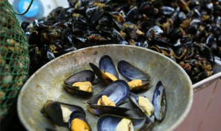 海虹的做法大全家常 海虹做法大全家常