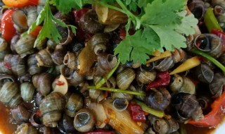 大田螺的做法 大田螺怎么做好吃