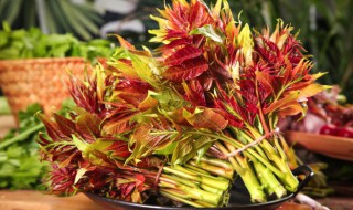 怎样储存香椿好吃 如何储存香椿