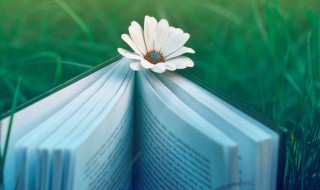 aab词语大全 aab词语有什么