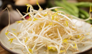 家庭发豆芽方法大全 怎么在家发豆芽