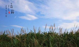 适合立秋的食物 盘点适合立秋的食物