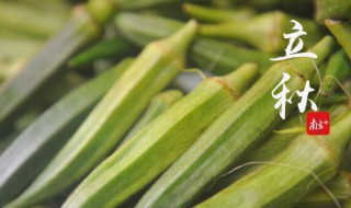 立秋季节如何养生 立秋季节怎么养生