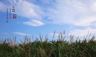 立秋养生原则 立秋养生原则有哪些