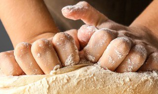 怎样在家正确自制西米水晶月饼 简单4步做好吃不腻月饼