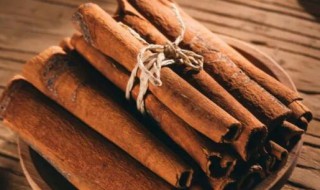 什么是肉桂 何谓肉桂