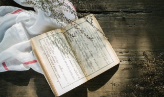 深情不及久伴下一句是什么 内容及解释