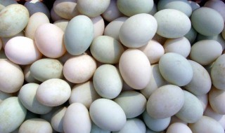 鸭蛋是发物吗 鸡蛋和鸭蛋是发物吗
