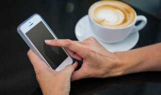 ghs是什么意思啊网络 ghs的意思