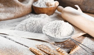 小麦粉能当面粉用吗 小麦粉能不能当面粉用