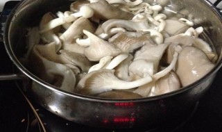 蘑菇要不要焯水 蘑菇要焯水吗