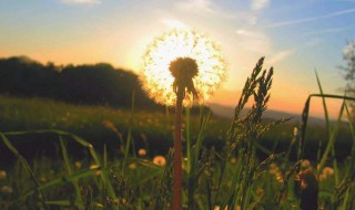 伤感的文案句子 伤感的文案句子有哪些