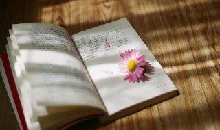 霓裳读音 霓裳怎么读