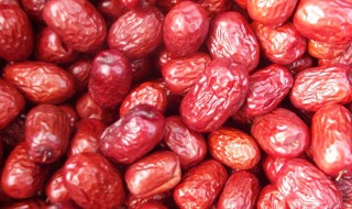 干红枣如何长期保存 干红枣长期保存的方法介绍