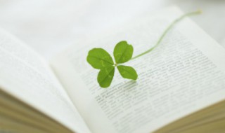 相提并论一词是什么意思 相提并论的解释