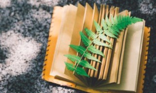 独组词有哪些 独怎么组词