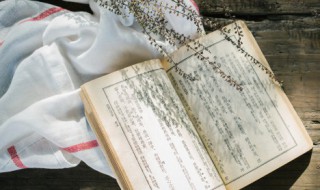 妄议什么意思 妄议的解释