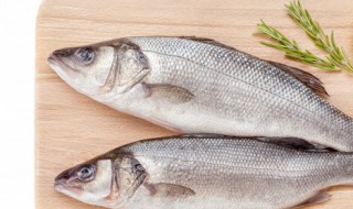鲈鱼嘌呤高吗 关于鲈鱼的嘌呤