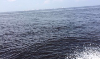 东京湾海水为什么脏 海东京湾水非常脏的原因