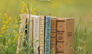 精益求精的两个精各是什么意思 精益求精的两个精解释