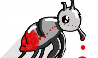 有跳蚤怎么办 有跳蚤怎么处理