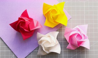 玫瑰花折纸 玫瑰花的简单折法