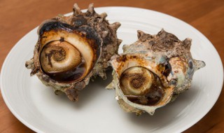海螺冷水煮还是开水煮 海螺用什么水煮