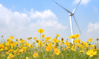 形容夏天凉爽的句子 形容夏天的短句