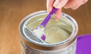 乳粉是什么 乳粉的解释