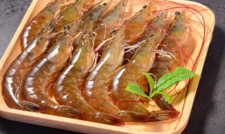 爬虾怎么保存时间长 爬虾的保存方法