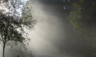 阴霾的反义词 阴霾的反义词介绍