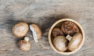 鲜香菇做馅用焯水吗 香菇的功效与作用