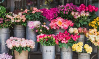 花瑞的意思是什么 花瑞的解释