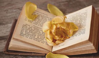 父善游告诉我们什么道理 父善游的含义