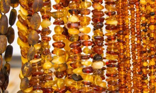 琥珀是怎么形成的过程 琥珀是怎样形成的