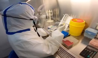 做核酸检测有效期多久 做核酸检测有效期多长时间