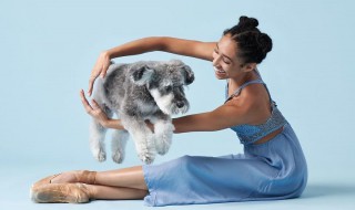 与狼共舞是什么意思 与狼共舞的意思