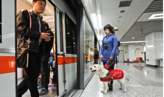 宠物可以上地铁吗 宠物不可以上地铁