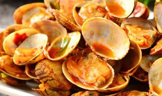 花甲如何快速吐沙 花甲怎样快速吐沙