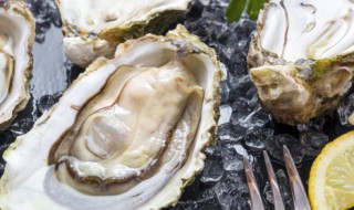 生蚝能放冰箱冷冻吗 生蚝是否能放冰箱冷冻