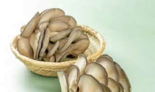 蘑菇长毛了还能吃吗 蘑菇长毛了还能不能吃