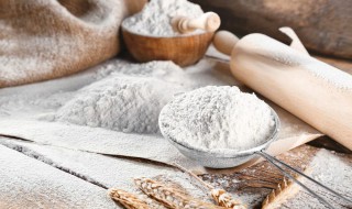 面粉能代替淀粉吗 面粉能否代替淀粉