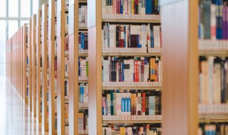 许可以组什么词 许的组词及解释