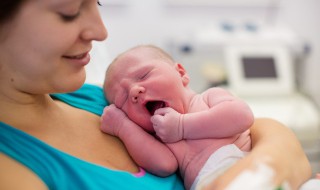 奶阵是什么 奶阵的意思