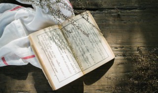 尘归尘土归土的下一句是什么 有关尘归尘土归土的下一句介绍