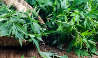 艾草粑粑怎么做才是绿色的 艾叶糍粑怎么做才绿窍门