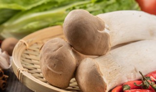 杏鲍菇焯水多长时间 杏鲍菇焯水多久