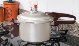 肥肠高压锅压多长时间 肥肠高压锅压多久