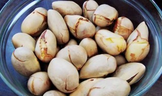 菠萝蜜的核可以吃吗 菠萝蜜的核是否可以食用